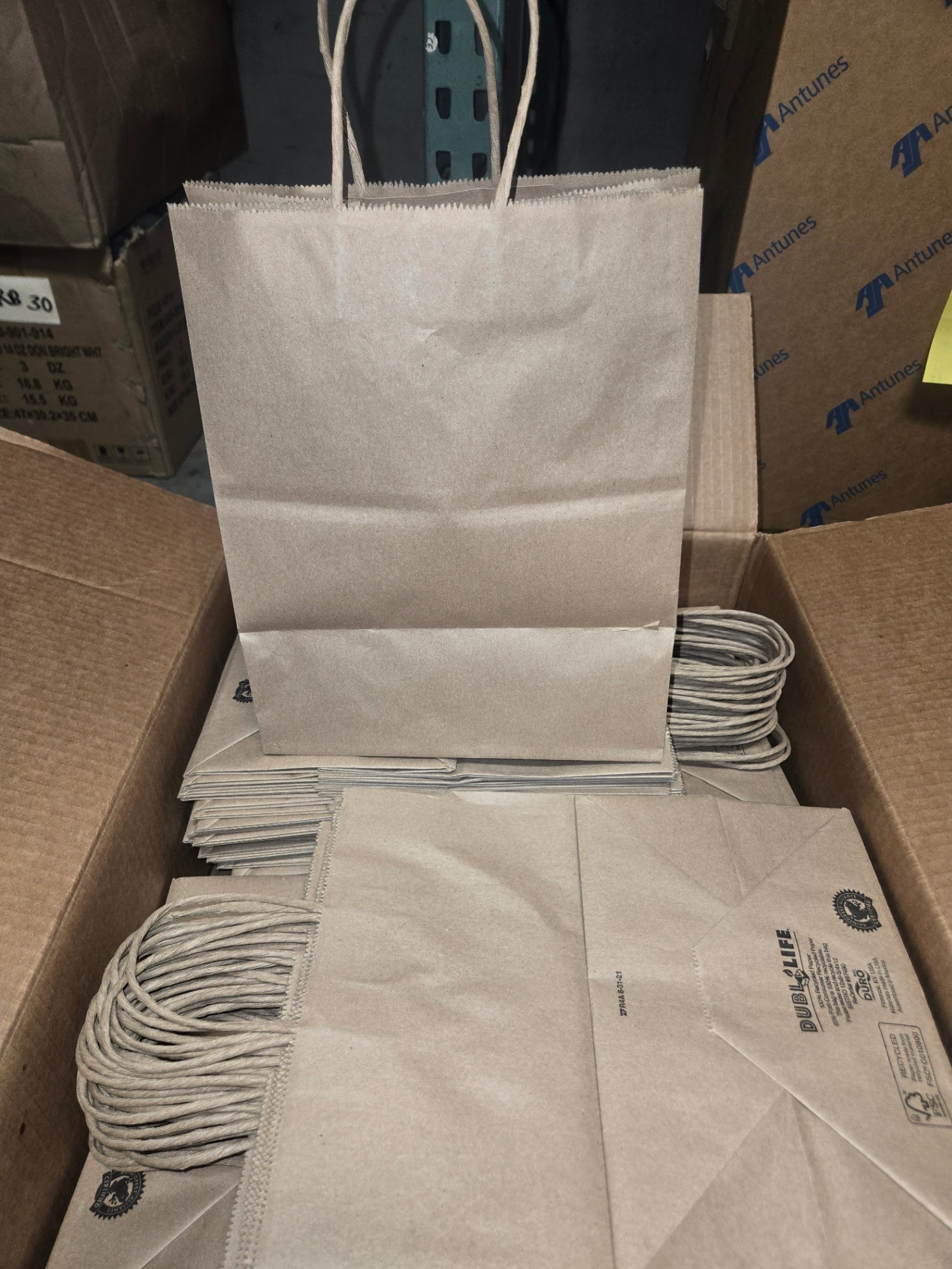 Bistro Plain Kraft Bags