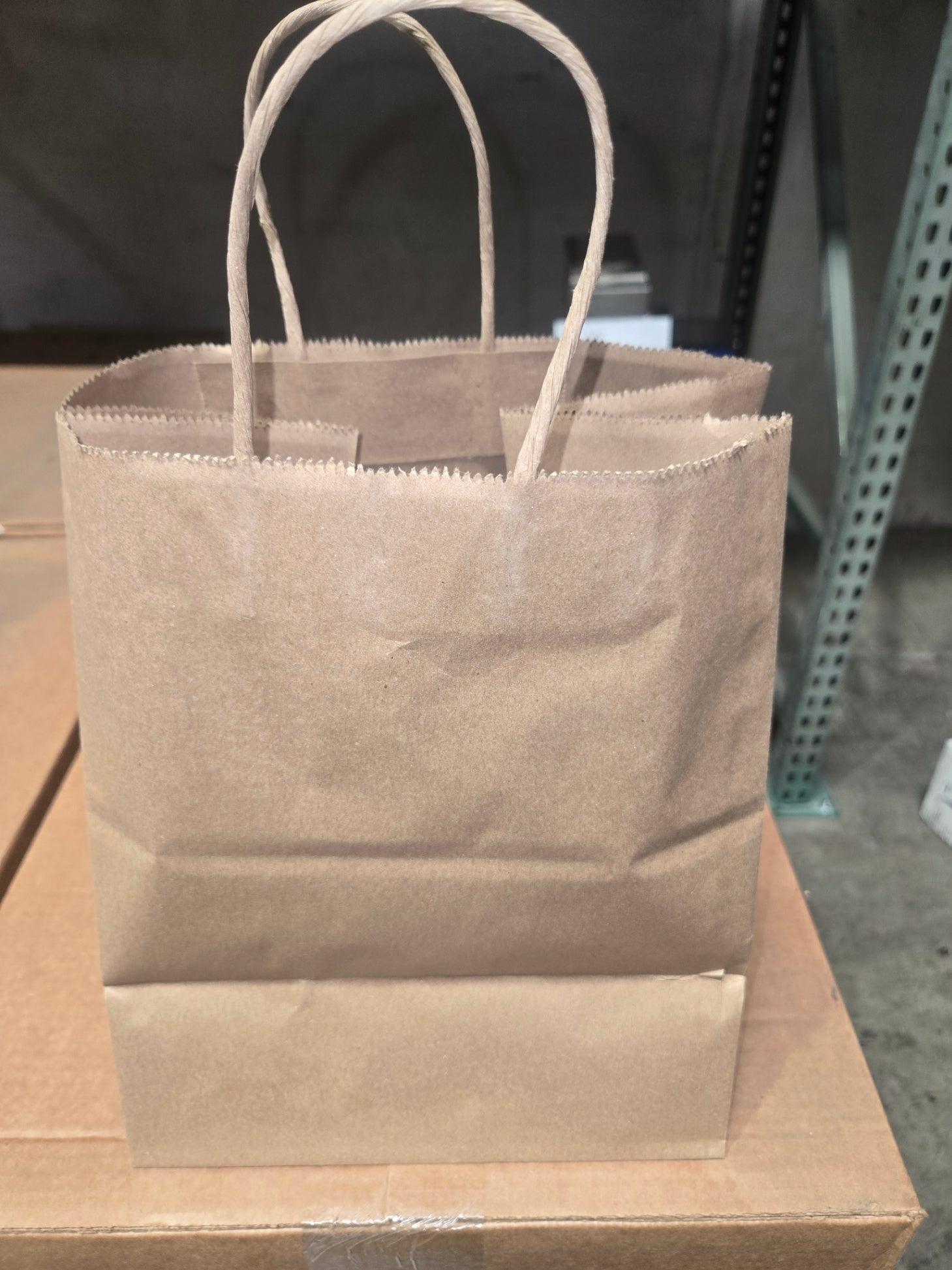 Bistro Plain Kraft Bags
