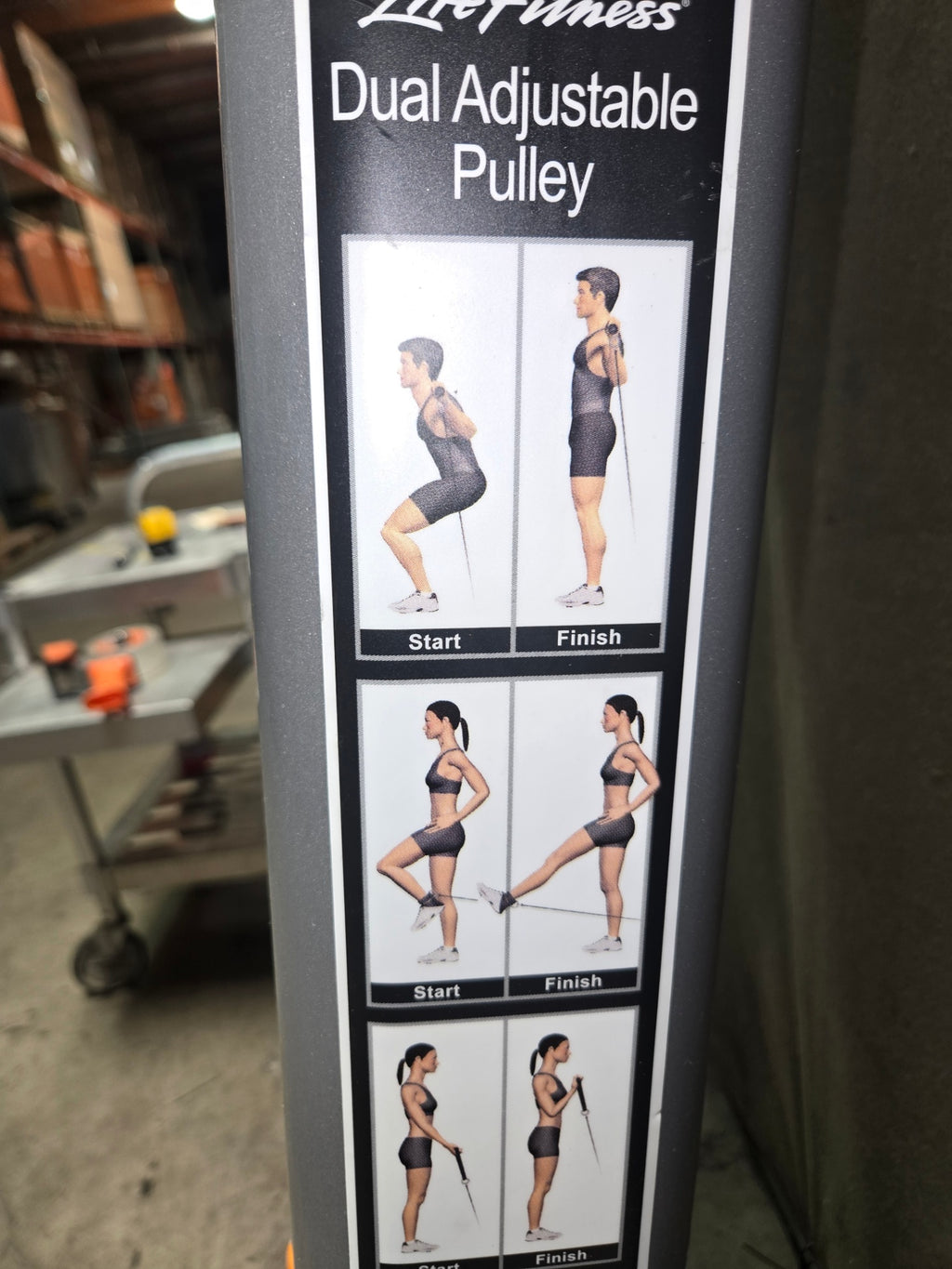 Life Fitness CMDAP Signature Series Dual Adjustable Pulley