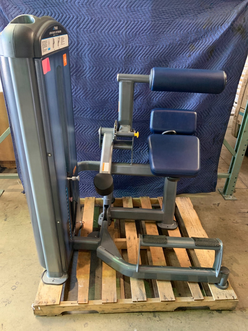 True Fuse 1300 Low Back Extension Machine