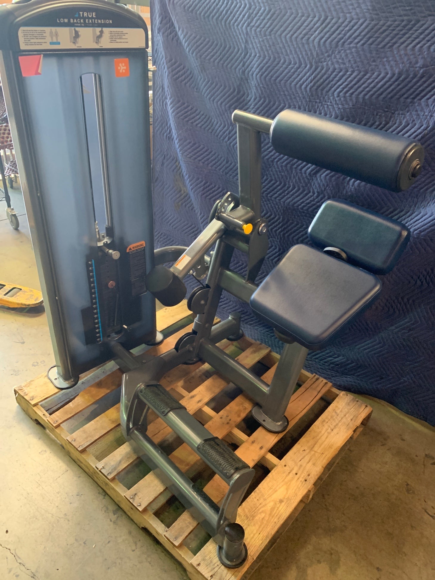 True Fuse 1300 Low Back Extension Machine