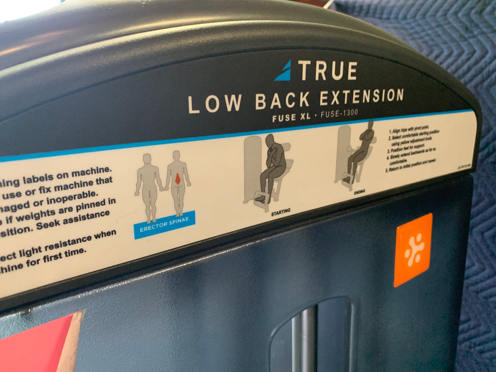 True Fuse 1300 Low Back Extension Machine