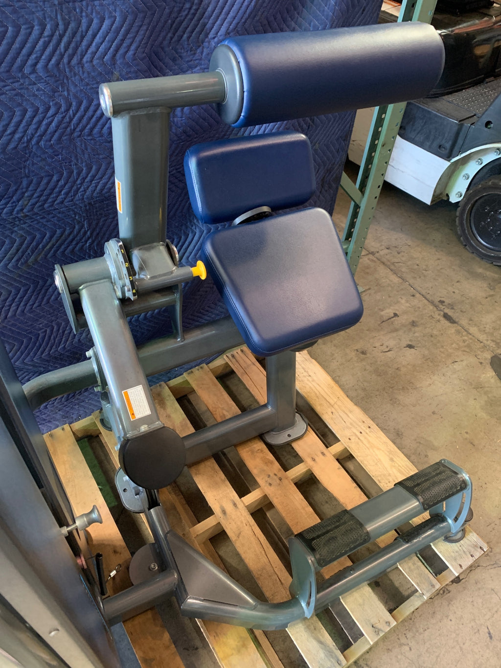 True Fuse 1300 Low Back Extension Machine
