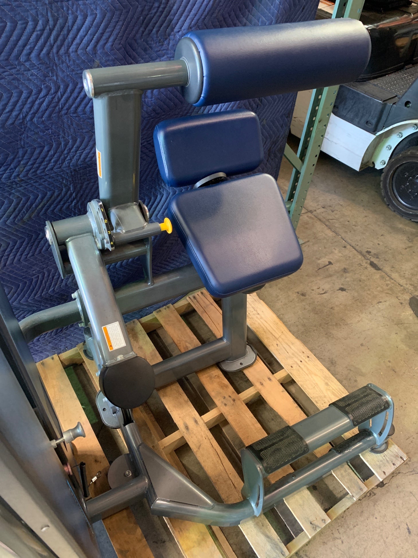True Fuse 1300 Low Back Extension Machine